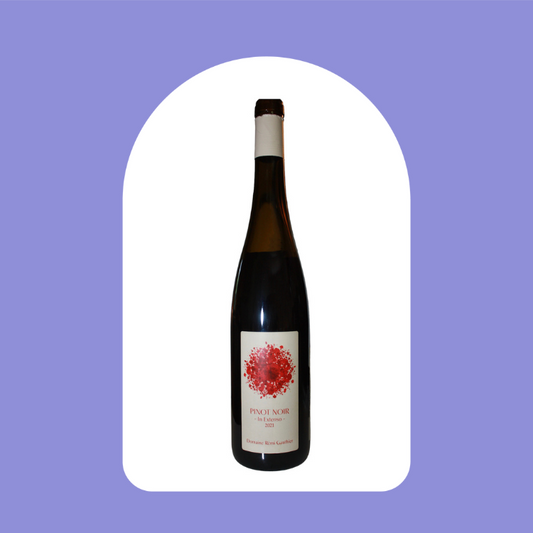 Pinot Noir In Extenso 2022, Rémi Gauthier