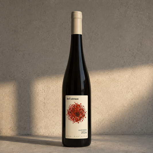 Auxerrois In Extenso 2024